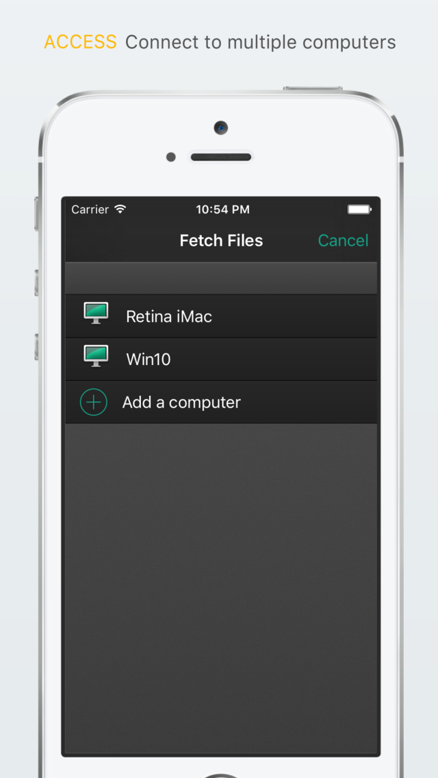 File Getter screenshot 2