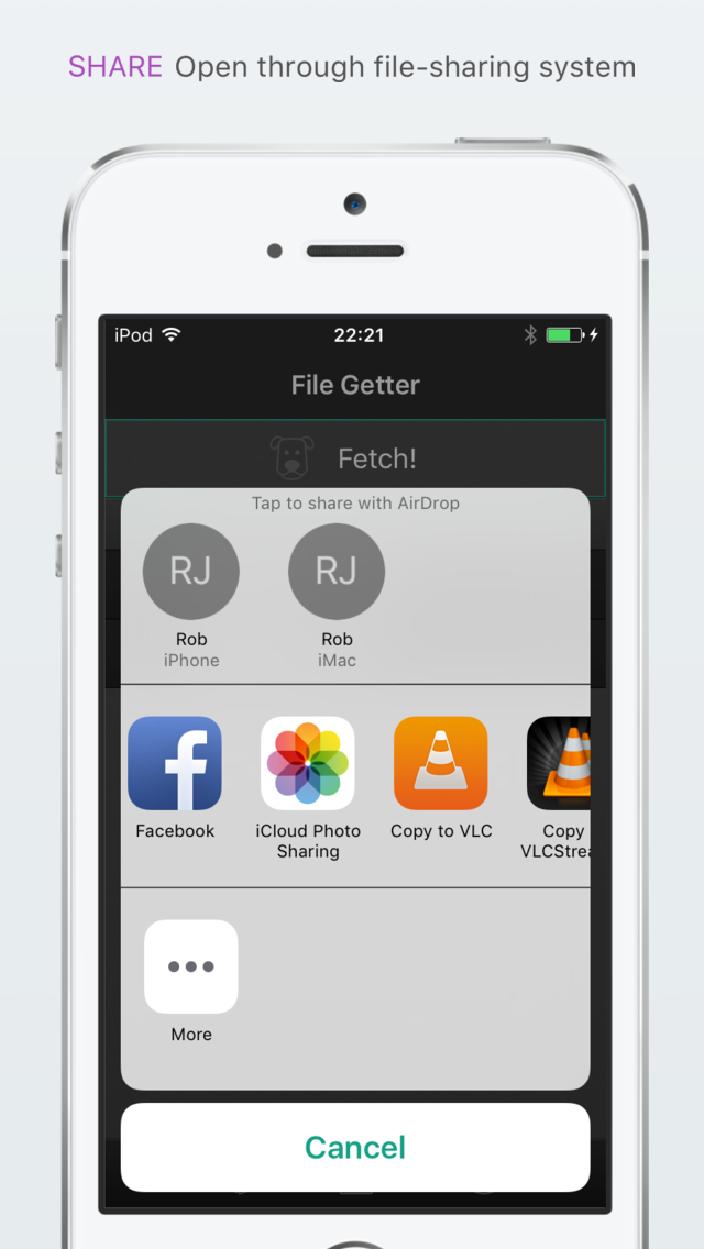 File Getter screenshot 3