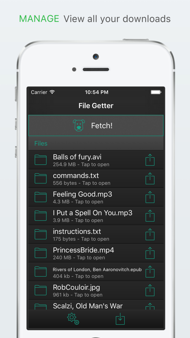 File Getter screenshot 4