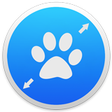 Icon Tool logo